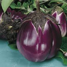 MELANZANA VIOLETTA DI FIRENZE TONDA GR.50